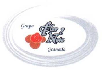 Imagen de GRUPO FLOR Y NATA GRANADA
