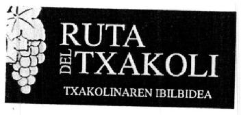 Imagen de RUTA DEL TXAKOLI TXAKOLINAREN IBILBIDEA