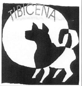 Imagen de TIBICENA