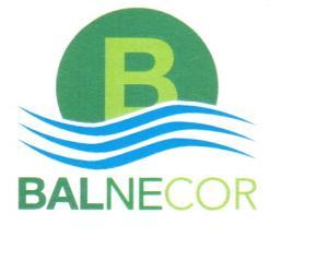 Imagen de B BALNECOR