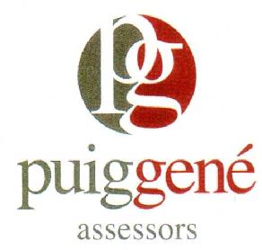 Imagen de PG PUIGGENE ASSESSORS