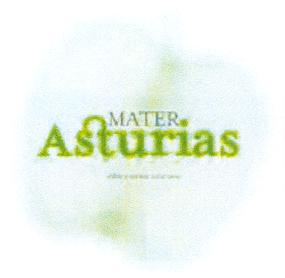 Imagen de MATER ASTURIAS