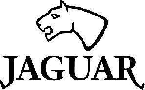 Imagen de JAGUAR