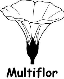Imagen de MULTIFLOR
