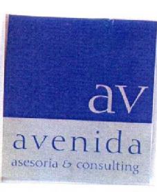 Imagen de AV AVENIDA ASESORIA & CONSULTING