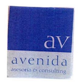 Imagen de AV AVENIDA ASESORIA & CONSULTING