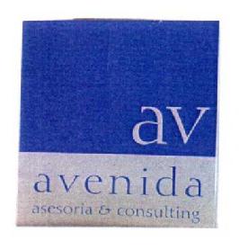 Imagen de AV AVENIDA ASESORIA & CONSULTING