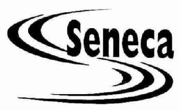 Imagen de SENECA