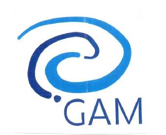 Imagen de GAM