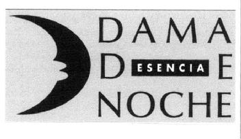 Imagen de DAMA DE NOCHE ESENCIA