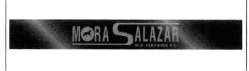 Imagen de MORA SALAZAR