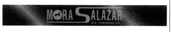 Imagen de MORA SALAZAR