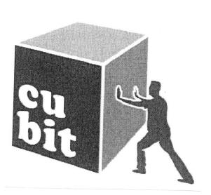 Imagen de CUBIT