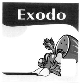 Imagen de EXODO