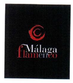 Imagen de MALAGA FLAMENCO