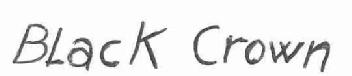 Imagen de BLACK CROWN