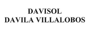 Imagen de DAVISOL DAVILA VILLALOBOS