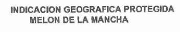 Imagen de INDICACION GEOGRAFICA PROTEGIDA MELON DE LA MANCHA
