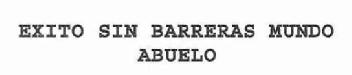 Imagen de EXITO SIN BARRERAS MUNDO ABUELO