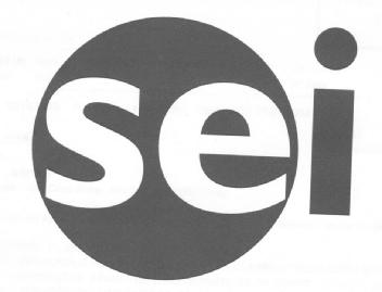 Imagen de SEI