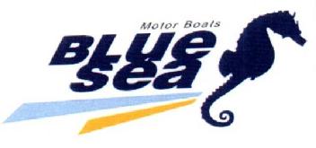 Imagen de MOTOR BOATS BLUE SEA