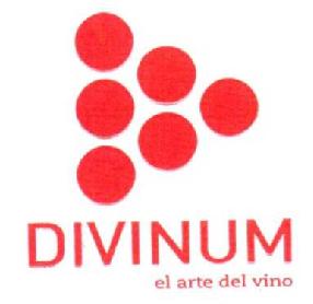Imagen de DIVINUM EL ARTE DEL VINO