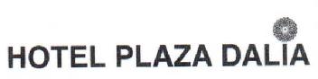 Imagen de HOTEL PLAZA DALIA