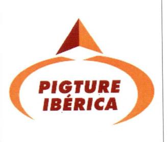 Imagen de PIGTURE IBERICA