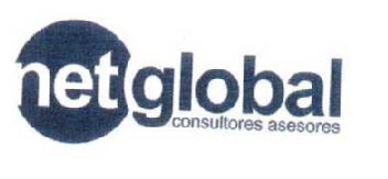 Imagen de NETGLOBAL CONSULTORES ASESORES
