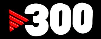 Imagen de 300