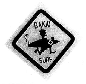 Imagen de BAKIO SURF