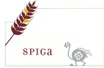 Imagen de SPIGA