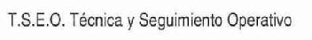 Imagen de T.S.E.O. TECNICA Y SEGUIMIENTO OPERATIVO