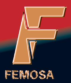 Imagen de F FEMOSA