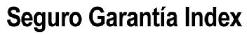 Imagen de SEGURO GARANTIA INDEX