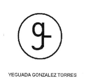 Imagen de G YEGUADA GONZALEZ TORRES