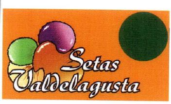 Imagen de SETAS VALDELAGUSTA