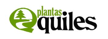 Imagen de PLANTASQUILES