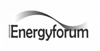Imagen de MONTANE ENERGYFORUM