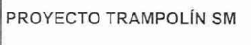 Imagen de PROYECTO TRAMPOLIN SM