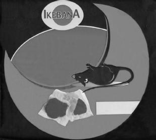 Imagen de IKEBANA
