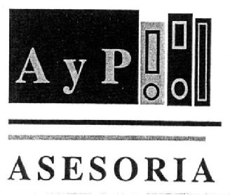 Imagen de A Y P ASESORIA