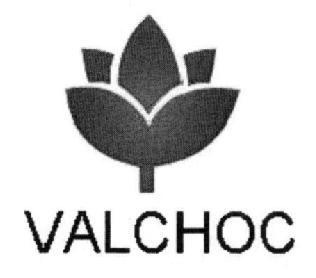 Imagen de VALCHOC