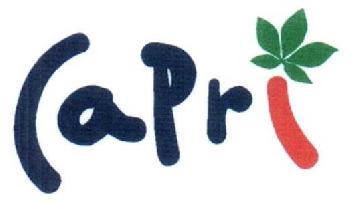 Imagen de CAPRI
