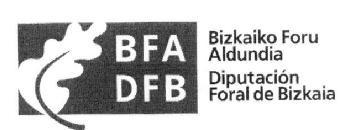 Imagen de BFA DFB BIZKAIKO FORU ALDUNDIA DIPUTACION FORAL DE BIZKAIA