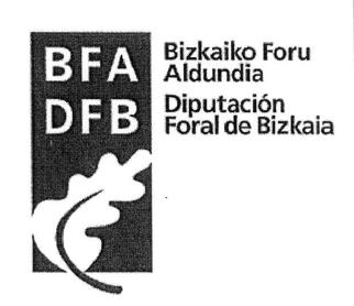 Imagen de BFA DFB BIZKAIKO FORU ALDUNDIA DIPUTACION FORAL DE BIZKAIA