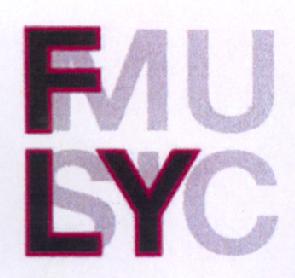 Imagen de FLYMUSIC
