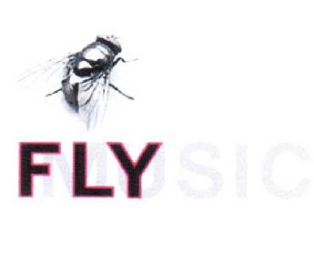 Imagen de FLYMUSIC