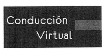 Imagen de CONDUCCION VIRTUAL