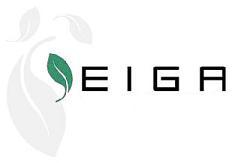 Imagen de EIGA